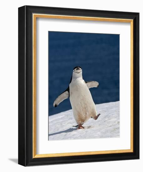 Life Is Good-Sergey Kokinskiy-Framed Photographic Print