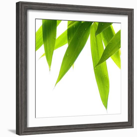 Life Is Green-Philippe Sainte-Laudy-Framed Photographic Print