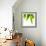 Life Is Green-Philippe Sainte-Laudy-Framed Photographic Print displayed on a wall