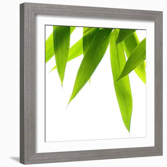 Life Is Green-Philippe Sainte-Laudy-Framed Photographic Print