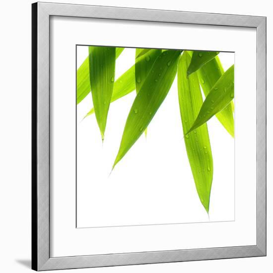 Life Is Green-Philippe Sainte-Laudy-Framed Photographic Print