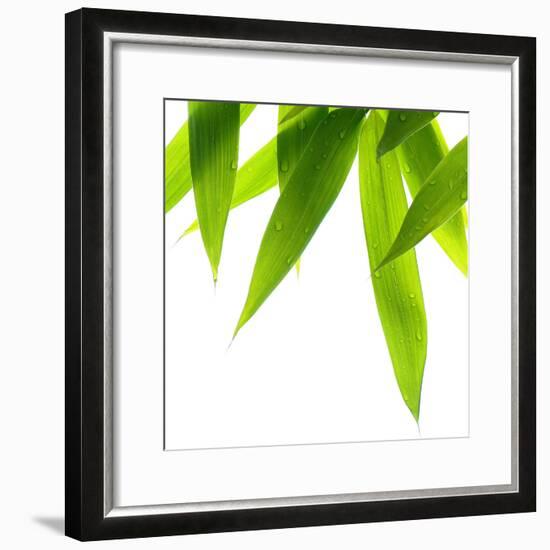 Life Is Green-Philippe Sainte-Laudy-Framed Photographic Print