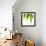 Life Is Green-Philippe Sainte-Laudy-Framed Photographic Print displayed on a wall