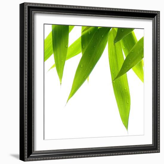 Life Is Green-Philippe Sainte-Laudy-Framed Photographic Print