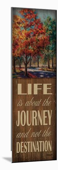 Life Journey-Todd Williams-Mounted Photographic Print