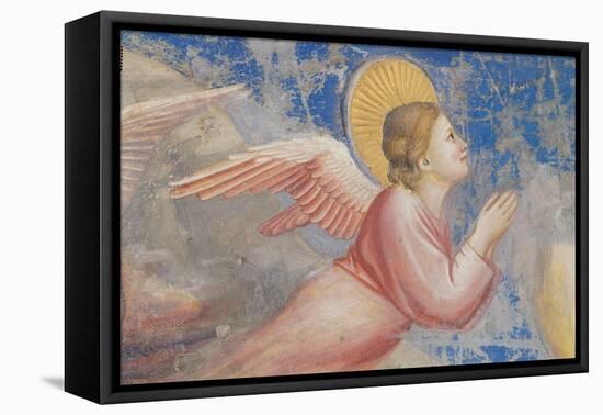 Life of Christ, Angel at the Nativity-Giotto di Bondone-Framed Stretched Canvas