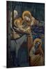 Life of Christ, the Nativity in the Stable-Giotto di Bondone-Mounted Premium Giclee Print