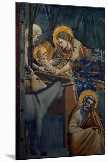 Life of Christ, the Nativity in the Stable-Giotto di Bondone-Mounted Premium Giclee Print