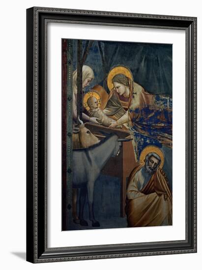 Life of Christ, the Nativity in the Stable-Giotto di Bondone-Framed Art Print