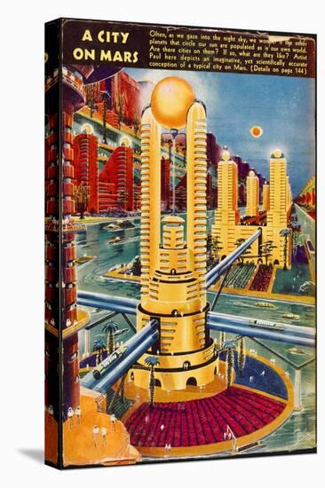 Stretched Canvas Print, , large