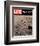 LIFE On the Moon-Footprints-null-Framed Premium Giclee Print