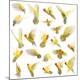Premium Photographic Print
