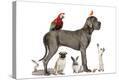 Stretched Canvas Print