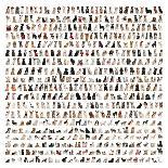 Large Group Of Dog Breeds In Front Of A White Background-Life on White-Art Print