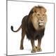 Premium Photographic Print
