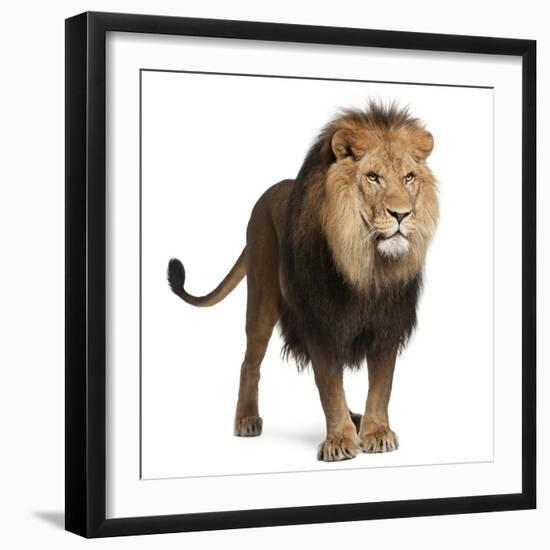 Photographic Print, , large