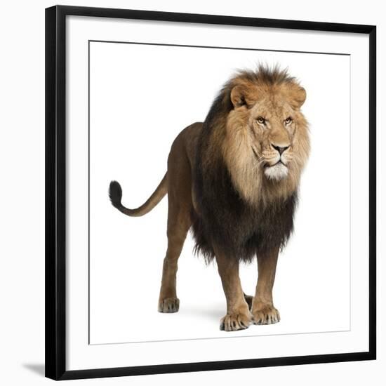 Photographic Print, , large