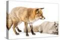 Stretched Canvas Print