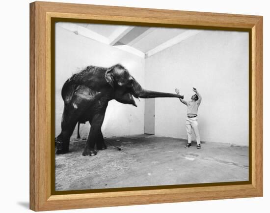 Life Photographer Arthur Schatz with Elephant While Shooting Story on the Franklin Park Zoo-Arthur Schatz-Framed Premier Image Canvas