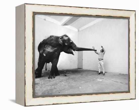 Life Photographer Arthur Schatz with Elephant While Shooting Story on the Franklin Park Zoo-Arthur Schatz-Framed Premier Image Canvas