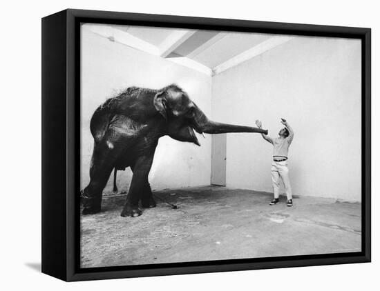 Life Photographer Arthur Schatz with Elephant While Shooting Story on the Franklin Park Zoo-Arthur Schatz-Framed Premier Image Canvas