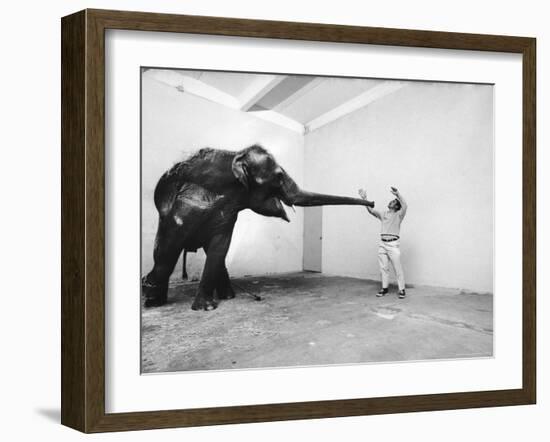 Life Photographer Arthur Schatz with Elephant While Shooting Story on the Franklin Park Zoo-Arthur Schatz-Framed Photographic Print