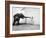 Life Photographer Arthur Schatz with Elephant While Shooting Story on the Franklin Park Zoo-Arthur Schatz-Framed Photographic Print