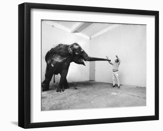 Life Photographer Arthur Schatz with Elephant While Shooting Story on the Franklin Park Zoo-Arthur Schatz-Framed Photographic Print