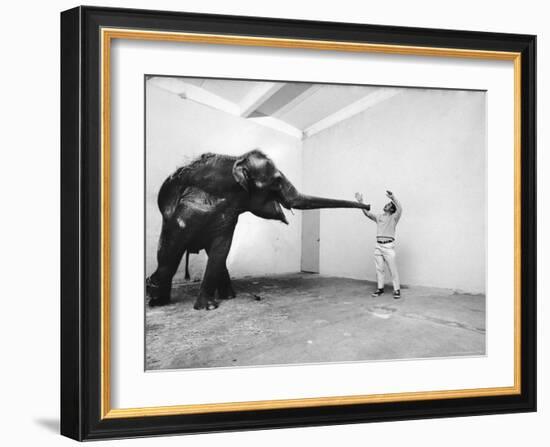 Life Photographer Arthur Schatz with Elephant While Shooting Story on the Franklin Park Zoo-Arthur Schatz-Framed Photographic Print