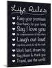 Life Rules-Lauren Gibbons-Mounted Art Print