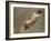 Life Study of the Female Figure-William Edward Frost-Framed Giclee Print