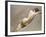 Life Study of the Female Figure-William Edward Frost-Framed Giclee Print