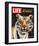 LIFE The Tiger's Kill 1965-null-Framed Art Print