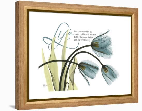 Life Tulips-Albert Koetsier-Framed Stretched Canvas