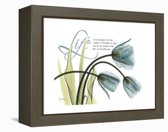 Life Tulips-Albert Koetsier-Framed Stretched Canvas