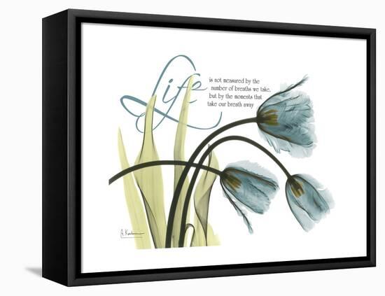 Life Tulips-Albert Koetsier-Framed Stretched Canvas