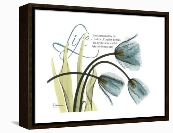 Life Tulips-Albert Koetsier-Framed Stretched Canvas