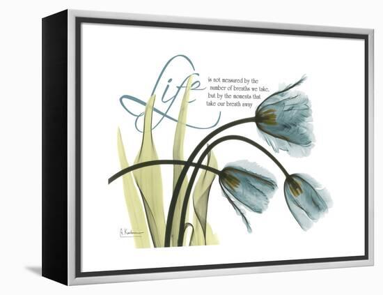 Life Tulips-Albert Koetsier-Framed Stretched Canvas