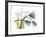 Life Tulips-Albert Koetsier-Framed Premium Giclee Print