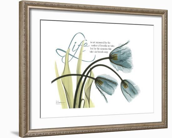 Life Tulips-Albert Koetsier-Framed Premium Giclee Print