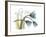 Life Tulips-Albert Koetsier-Framed Premium Giclee Print