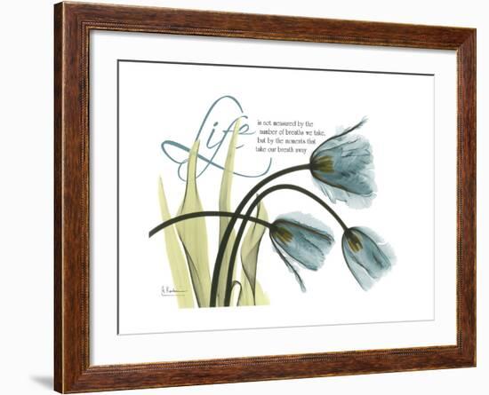 Life Tulips-Albert Koetsier-Framed Premium Giclee Print