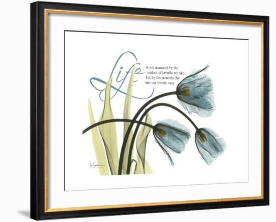 Life Tulips-Albert Koetsier-Framed Premium Giclee Print