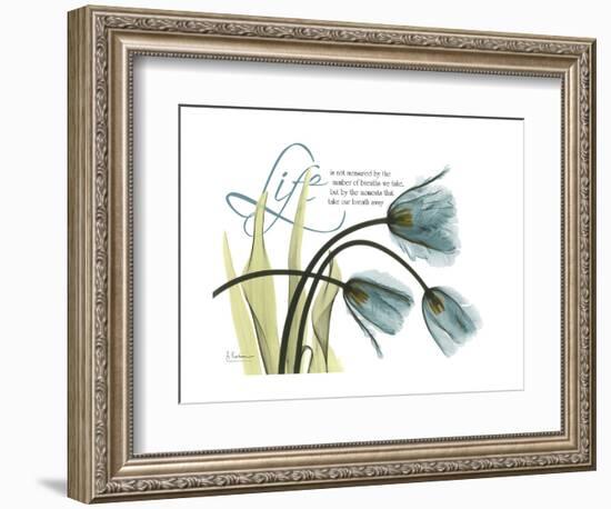 Life Tulips-Albert Koetsier-Framed Premium Giclee Print