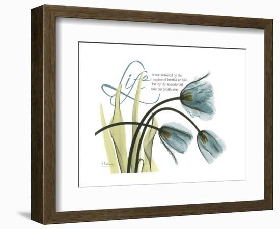 Life Tulips-Albert Koetsier-Framed Premium Giclee Print