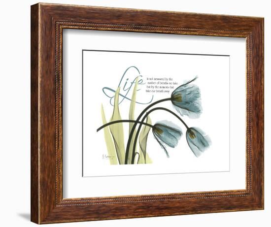 Life Tulips-Albert Koetsier-Framed Premium Giclee Print