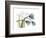 Life Tulips-Albert Koetsier-Framed Premium Giclee Print