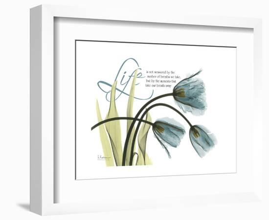Life Tulips-Albert Koetsier-Framed Premium Giclee Print