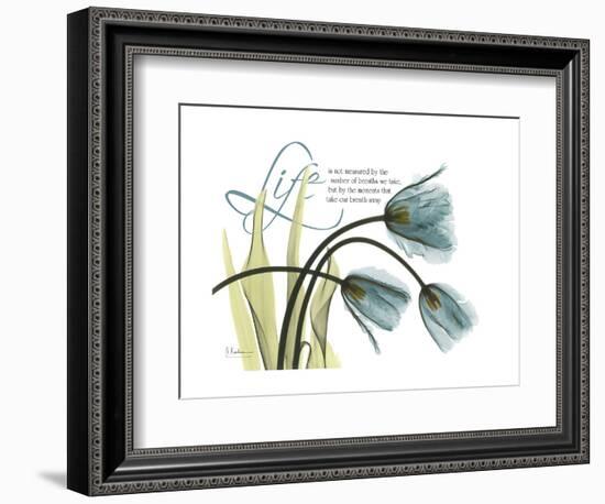 Life Tulips-Albert Koetsier-Framed Premium Giclee Print