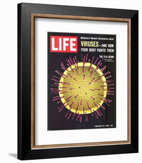 LIFE Viruses-The Flu Germ 1966-null-Framed Premium Giclee Print